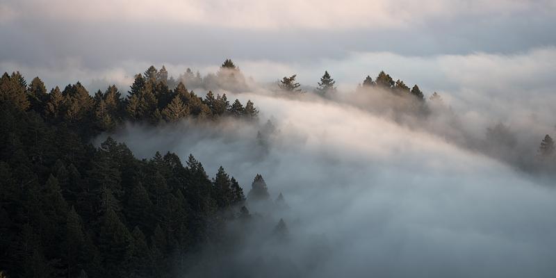 waves of fog